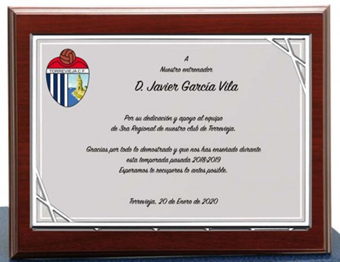 (127)placa + madera premium 21 x 17 cm