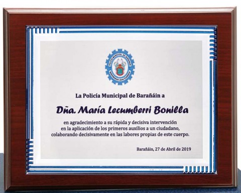 (128)placa + madera premium 21 x 17 cm