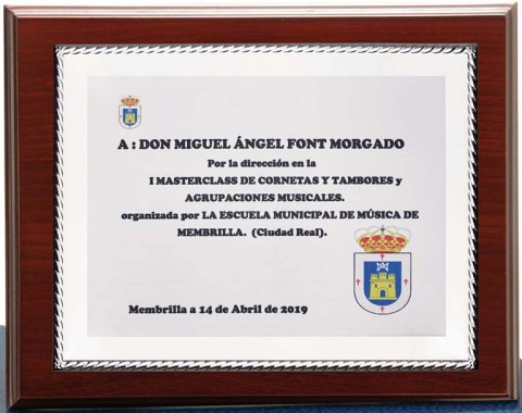(128)placa + madera premium 21 x 17 cm