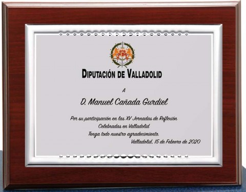 (129)placa + madera premium 21 x 17 cm