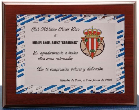 (129)placa + madera premium 21 x 17 cm