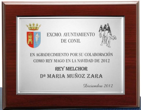(131)placa + madera economica 21 x 17 cm