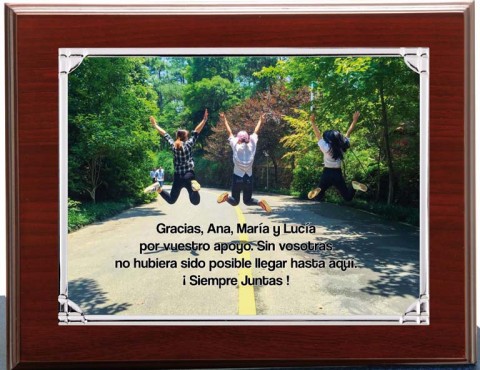 (131)placa + madera premium 21 x 17 cm