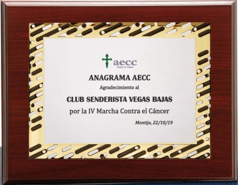 (132)placa + madera premium 21 x 17 cm