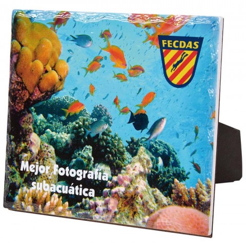 (143)ceramica sublimacion 20 x 17 cm