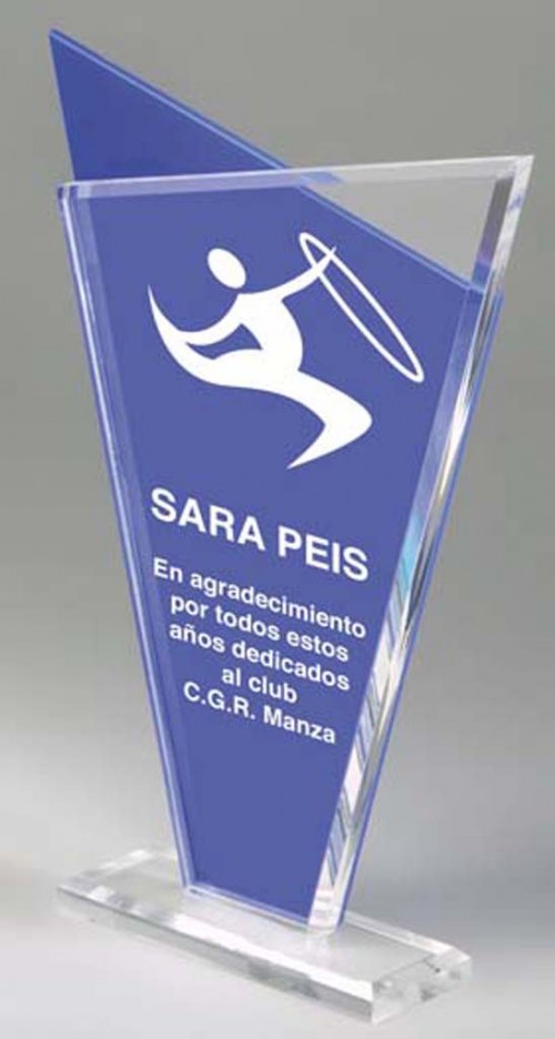 (166)TROFEO METACRILATO 22 cm
