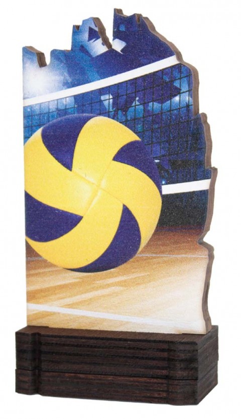 (240)trofeo madera voleibol 13 cm