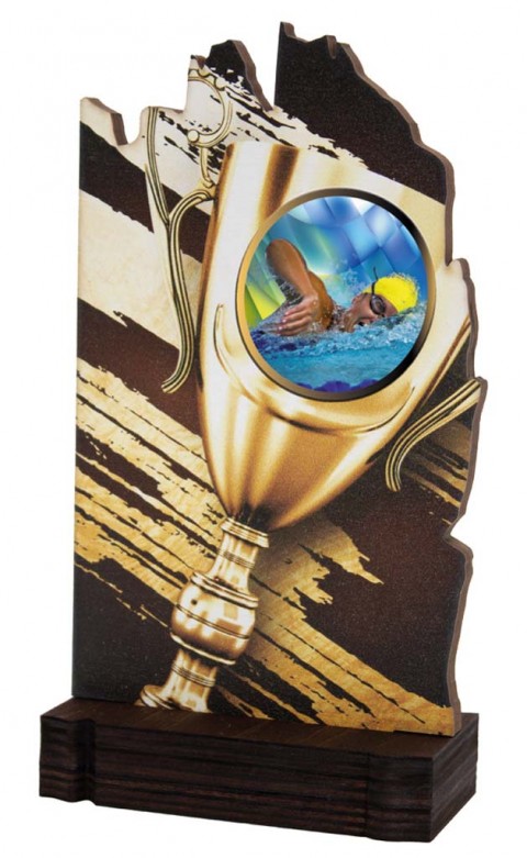 (242)trofeo madera portadiscos 19 cm