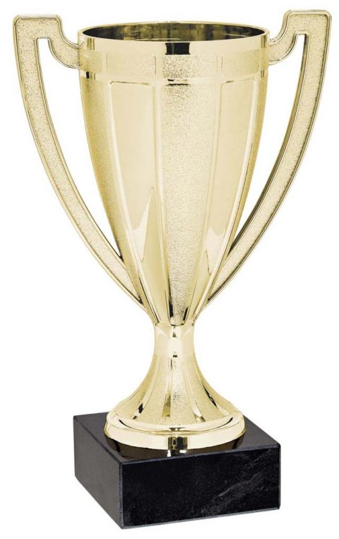 (39)copa linea promocion 16 cm