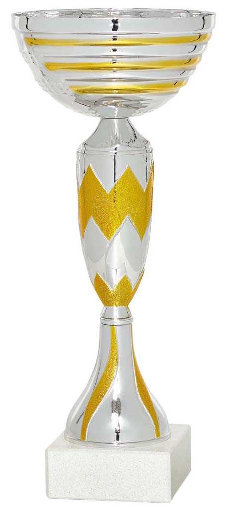 (49)copa linea economica 24 cm