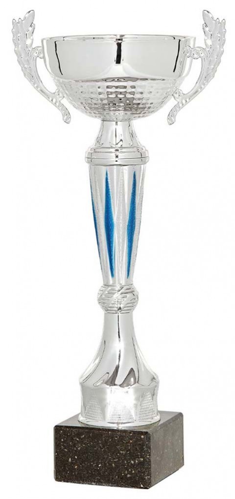 (60)copa linea clasica 23 cm