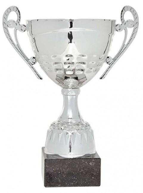 (65)copa linea clasica 20 cm