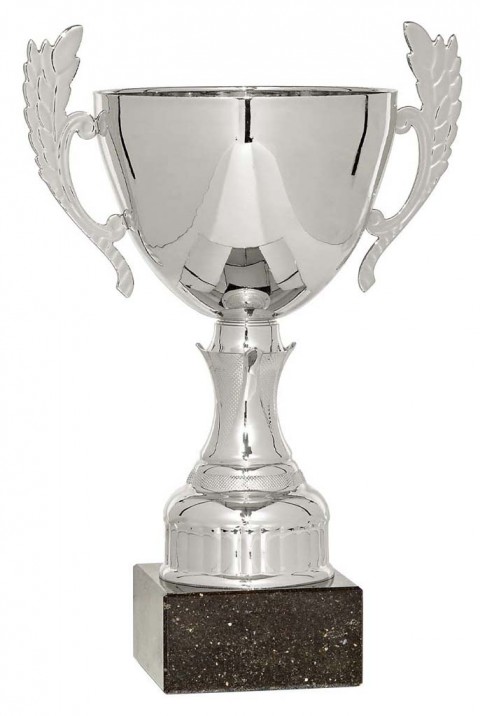 (66)copa linea clasica 22 cm