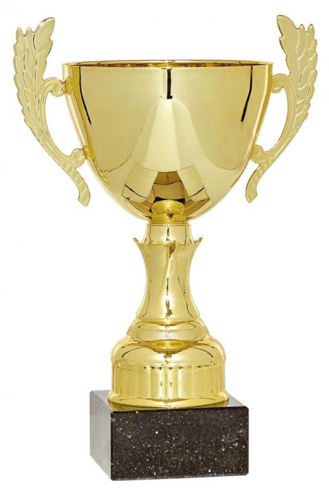 (66)copa linea clasica 22 cm