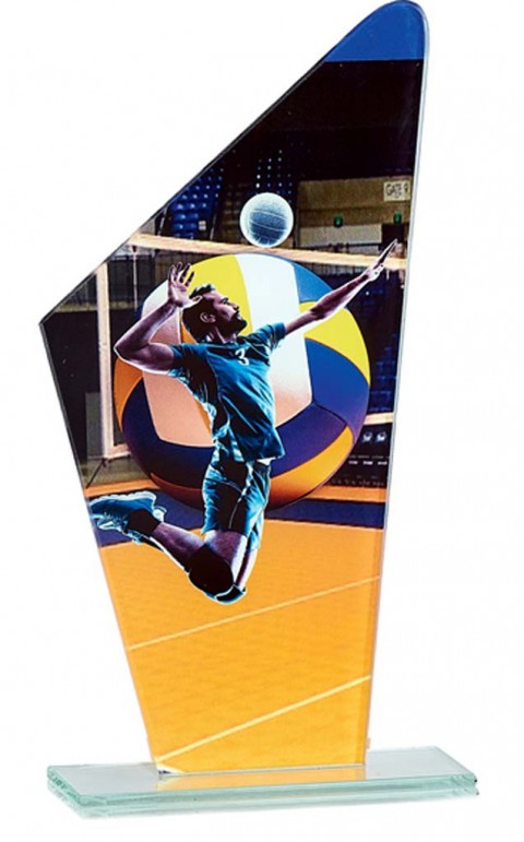 (202)trofeo cristal voleiboll 22 cm