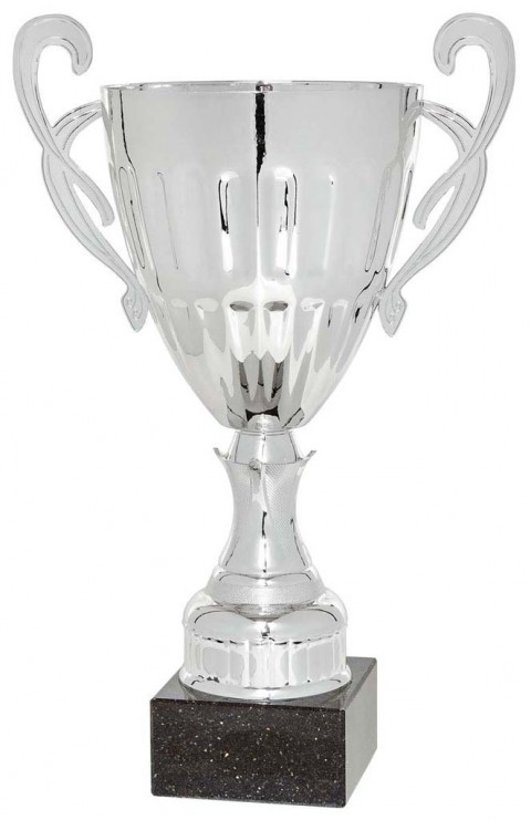 (67)copa linea prestige 26 cm