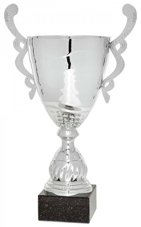 (68)copa linea prestige 27 cm