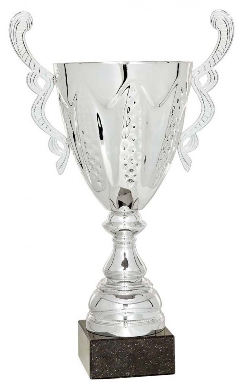 (69)copa linea prestige 28 cm