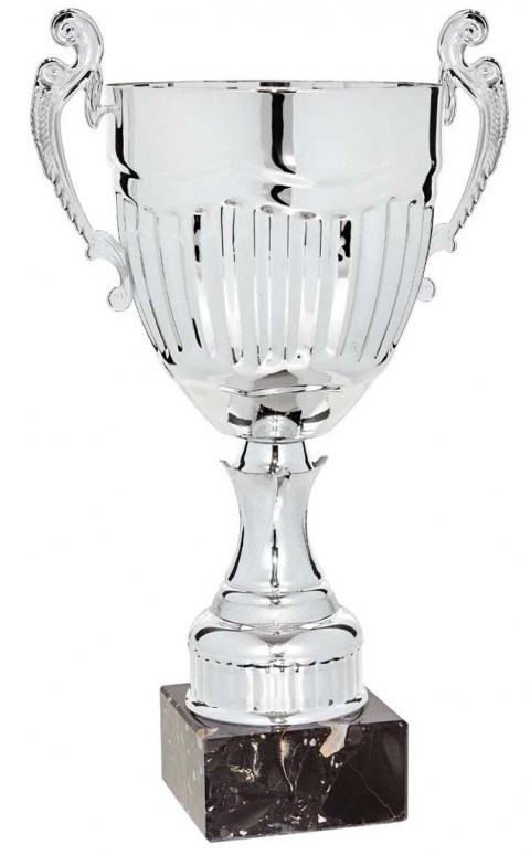 (70)copa linea prestige 26 cm