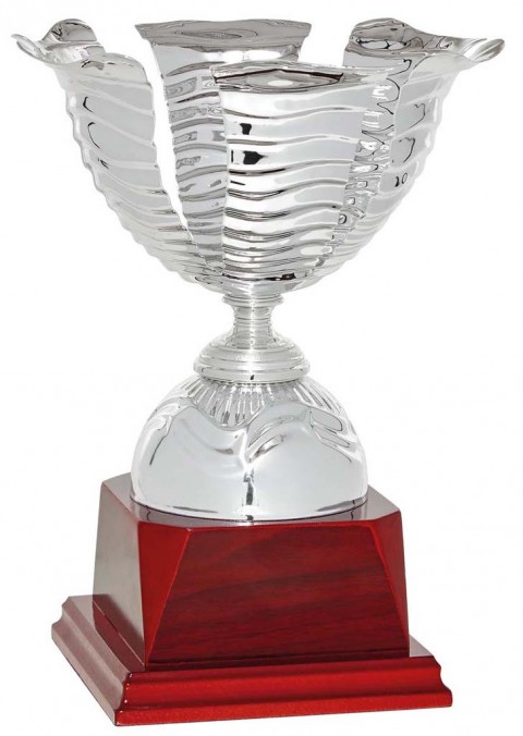 (73)copa linea prestige 20 cm