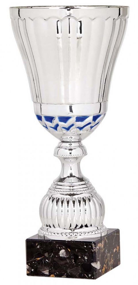 (75)copa linea prestige 25 cm