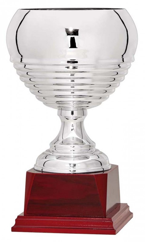 (77)copa linea prestige 21 cm