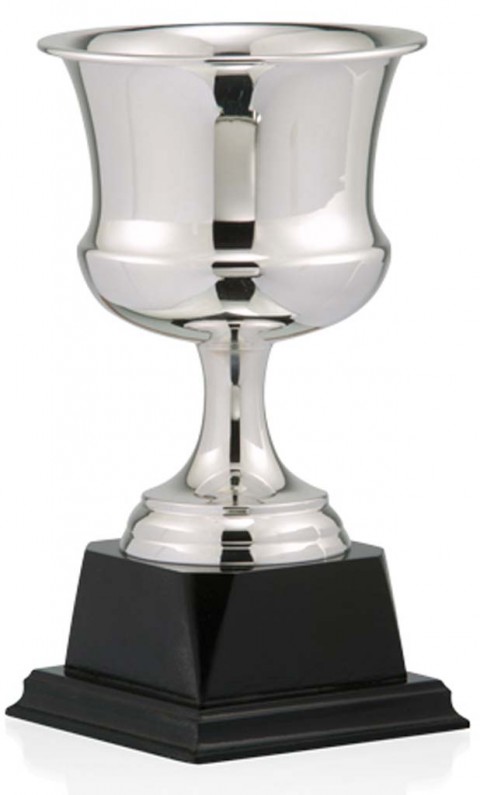 (99)copa bao de plata 14 cm