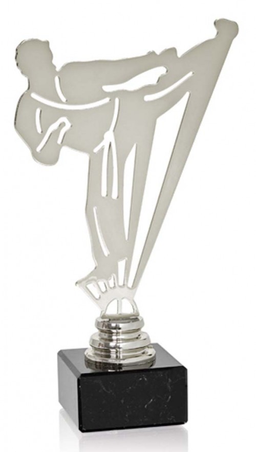 (226)TROFEO METAL ARTES MARCIALES 19 cm