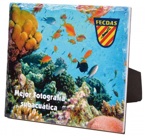 (151)  ceramica esp. sublimacin 