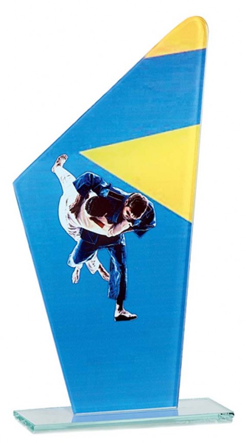 (202) trofeo cristal judo 22 cm 