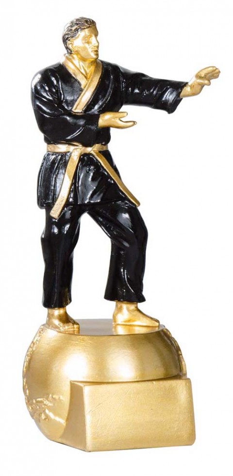 (191) trofeo resina  artes marciales 20 cm 