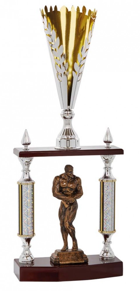(115)  trofeo colunma 