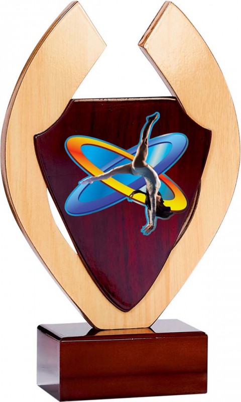 (217)  trofeo madera con aplique 