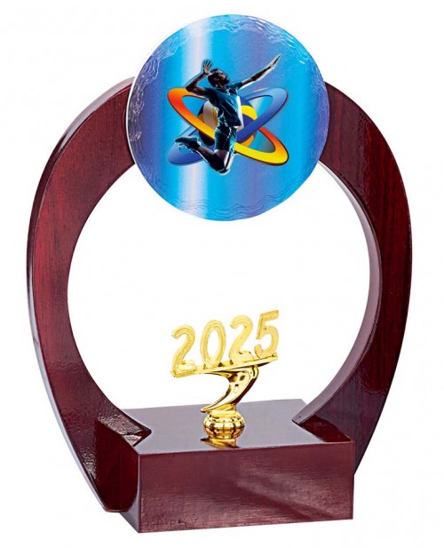 (217)  TROFEO MADERA CON APLIQUE