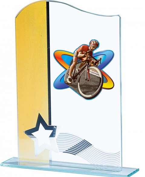 (216)  trofeo cristal  con aplique 