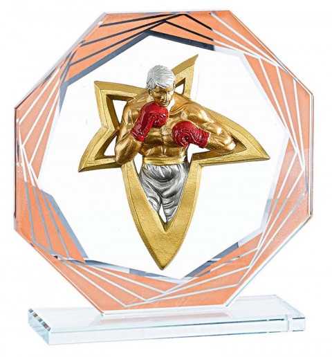 (212)  trofeo cristal  