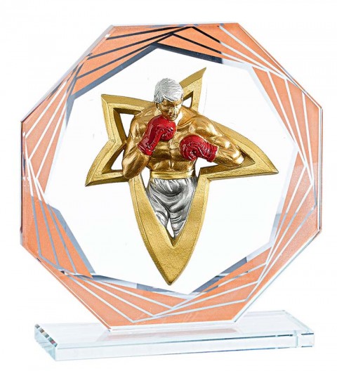 (212)  trofeo cristal con aplique  
