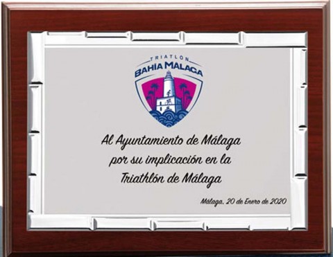 (131) placa de homenaje madera economica 