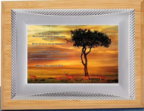 (132) placa de homenaje calidad madera bambu 
