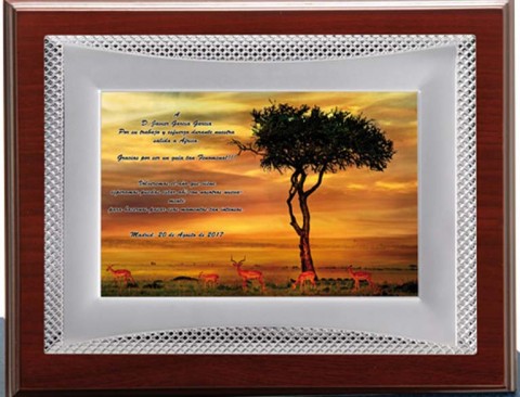 (132) placa de homenaje calidad madera economica 
