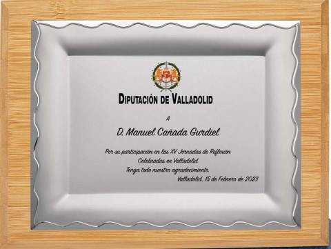 (132) placa de homenaje calidad madera bambu 
