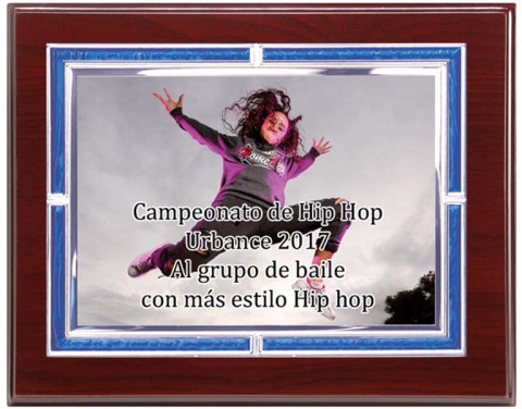(133) placa de homenaje madera economica