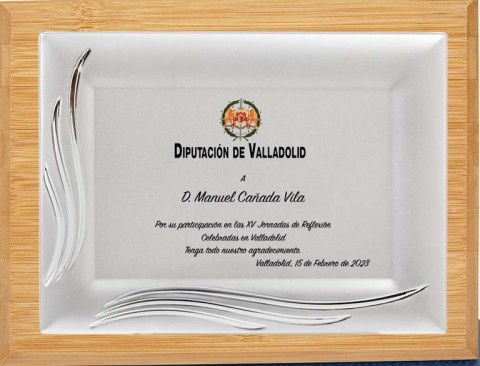 (133) placa de homenaje calidad madera bambu