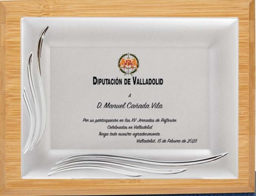 (133) PLACA DE HOMENAJE CALIDAD MADERA BAMBU