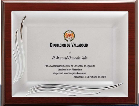 (133) placa de homenaje madera economica