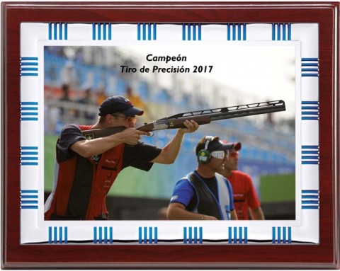 (135) placa de homenaje madera economica 
