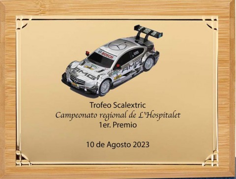 (136) placa de homenaje madera bambu 