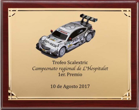(136) placa de homenaje madera economica
