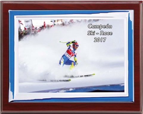 (136) placa de homenaje madera economica 