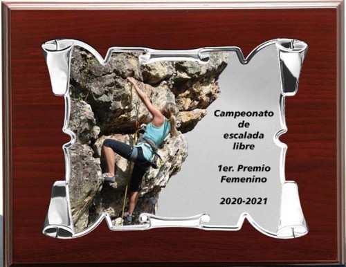 (137) PLACA DE HOMENAJE MADERA PREMIUM 